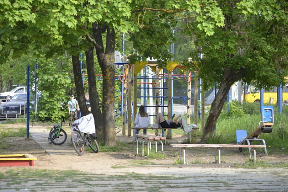 Благоустройство площадки «Яблоневый сад» в Иванове начнут со сноса яблонь